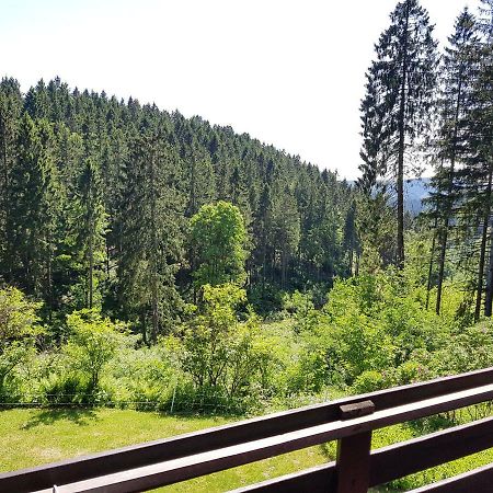 Fewo Waldblick Sankt Andreasberg Bagian luar foto