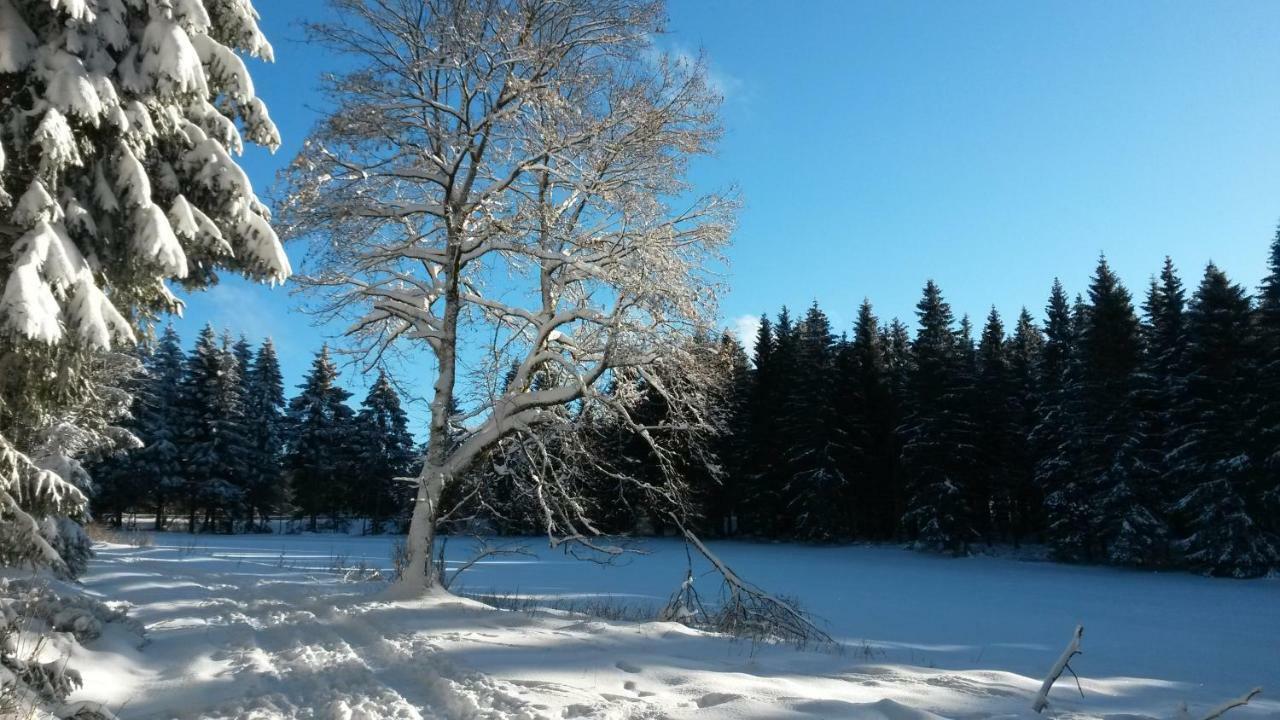 Fewo Waldblick Sankt Andreasberg Bagian luar foto